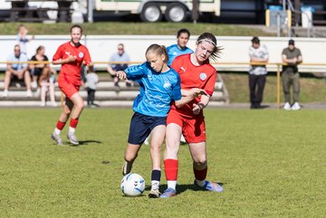 Bild 169 - wBJ TuS Rotenhof - Holstein Kiel : Ergebnis: 1:4